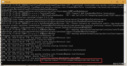 采用精准测试工具对Dubbo微服务应用进行测试的策略与实践